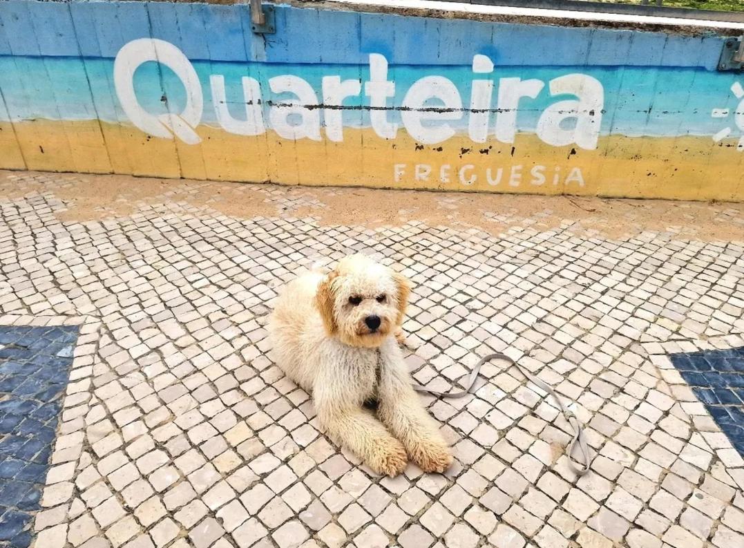 Studio Praia De Quarteira Eksteriør billede